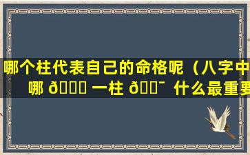 哪个柱代表自己的命格呢（八字中哪 🍁 一柱 🐯  什么最重要）